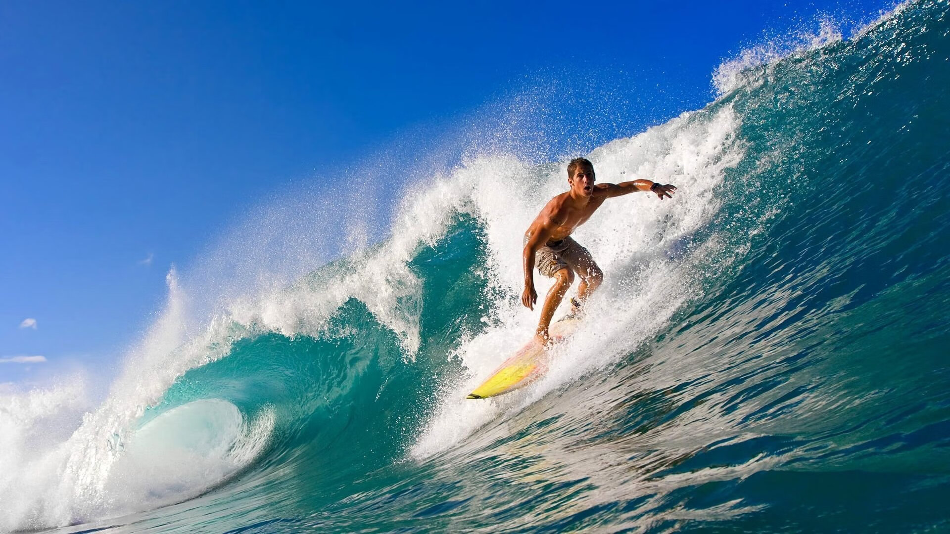 国际飞盘冠军赛，空中飞舞的精彩瞬间，飞盘视频比赛视频