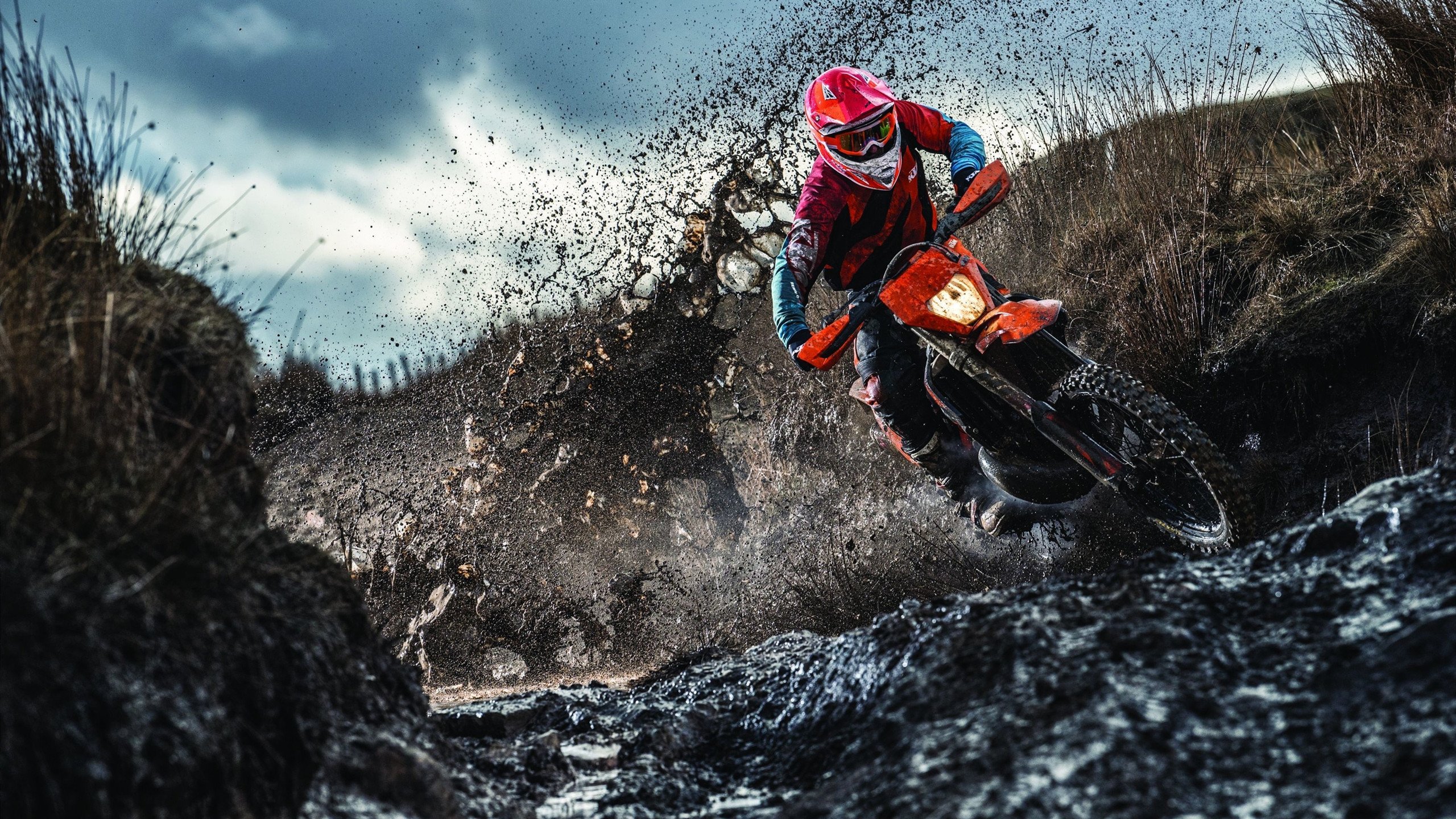 墨西哥骑手卡洛斯·汉克在巴黎奥运会后成为马术协会主席，推动马术运动发展。